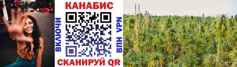 Марихуана Amnesia  где купить наркоту  kraken tor  Рудня 